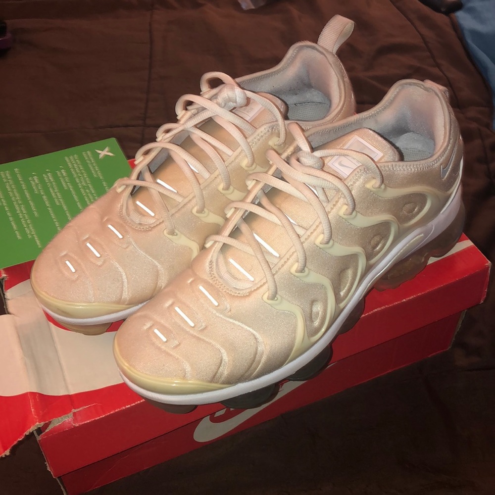 Vapor Max Plus 10.5